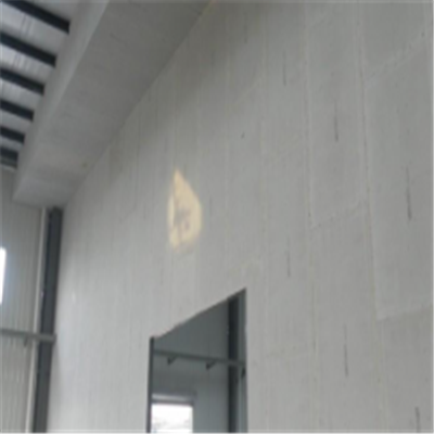 镇赉新型建筑材料掺多种工业废渣的ALC|ACC|FPS模块板材轻质隔墙板
